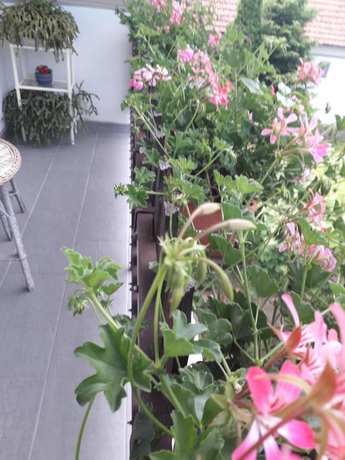 Nagy Haz Apartment Szabadkígyós Екстериор снимка