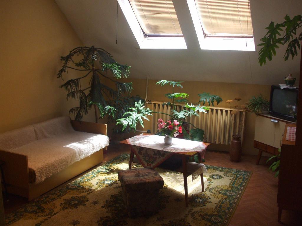 Nagy Haz Apartment Szabadkígyós Стая снимка